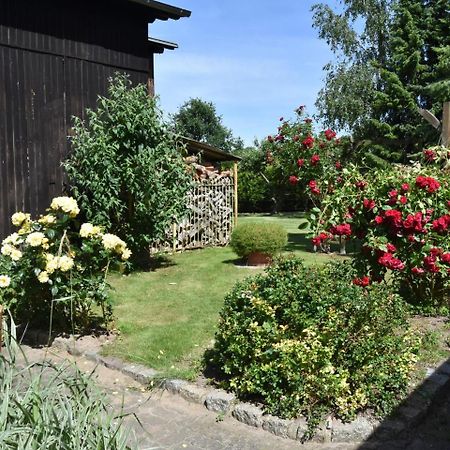 Comfortable Apartment In A Quiet Location Zweedorf Exterior foto
